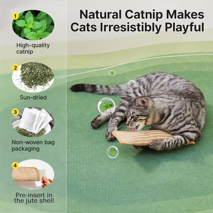 🔥Last Day 40% OFF- Buy 1 Get 1 Free🐱Interactive Catnip Chew Toy