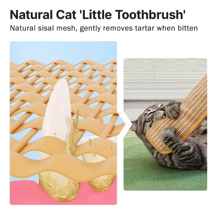 🔥Last Day 40% OFF- Buy 1 Get 1 Free🐱Interactive Catnip Chew Toy