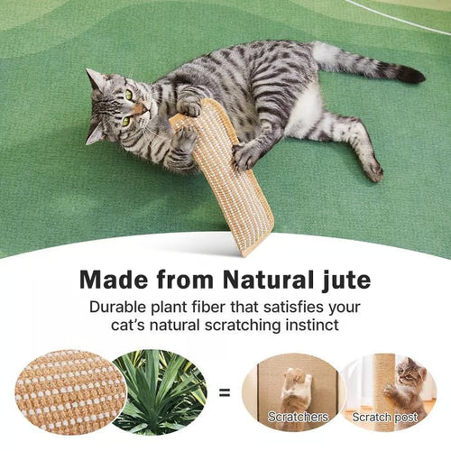 🔥Last Day 40% OFF- Buy 1 Get 1 Free🐱Interactive Catnip Chew Toy