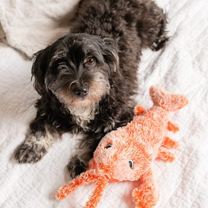 Interactive Floppy Lobster Dog Toy – 40% OFF Today