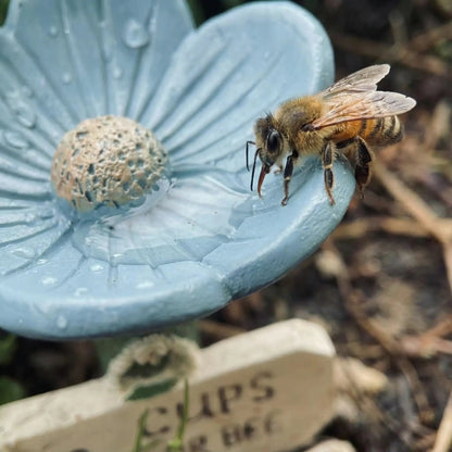 🐝LAST DAY 40% OFF - Flower-Shaped Bee Watering Station💧