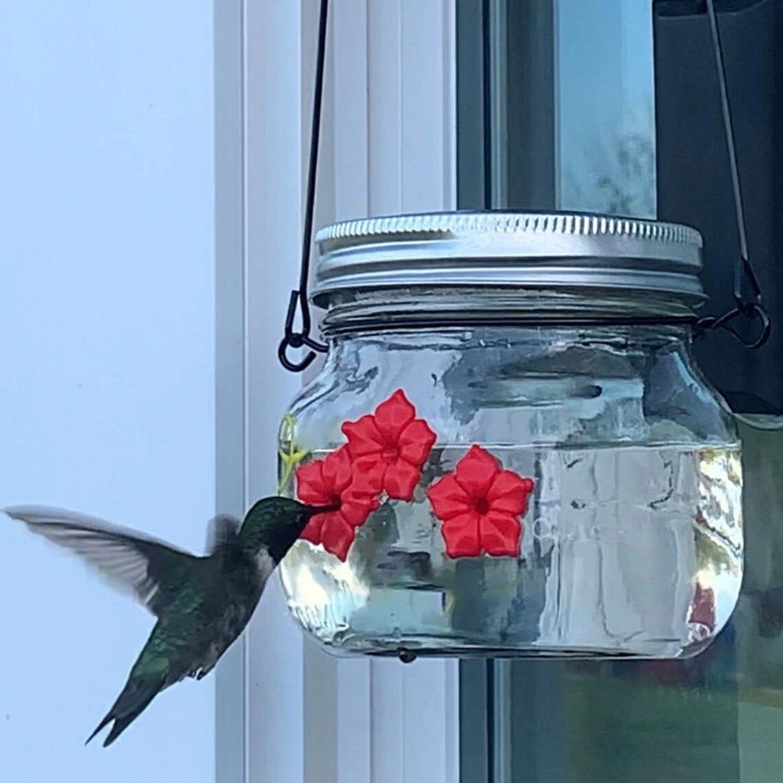🔥Last Day Promotion - 49% OFF🎁 Beautiful Mason Jar Hummingbird Feeder W/ Three Ports 🔥 BUY 2 GET 1 FREE