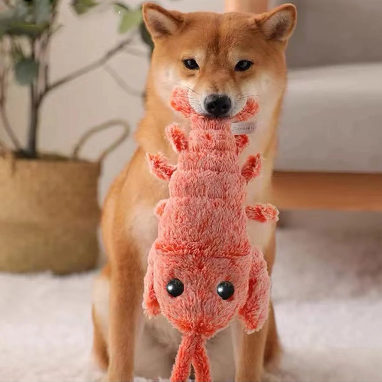 Interactive Floppy Lobster Dog Toy – 40% OFF Today