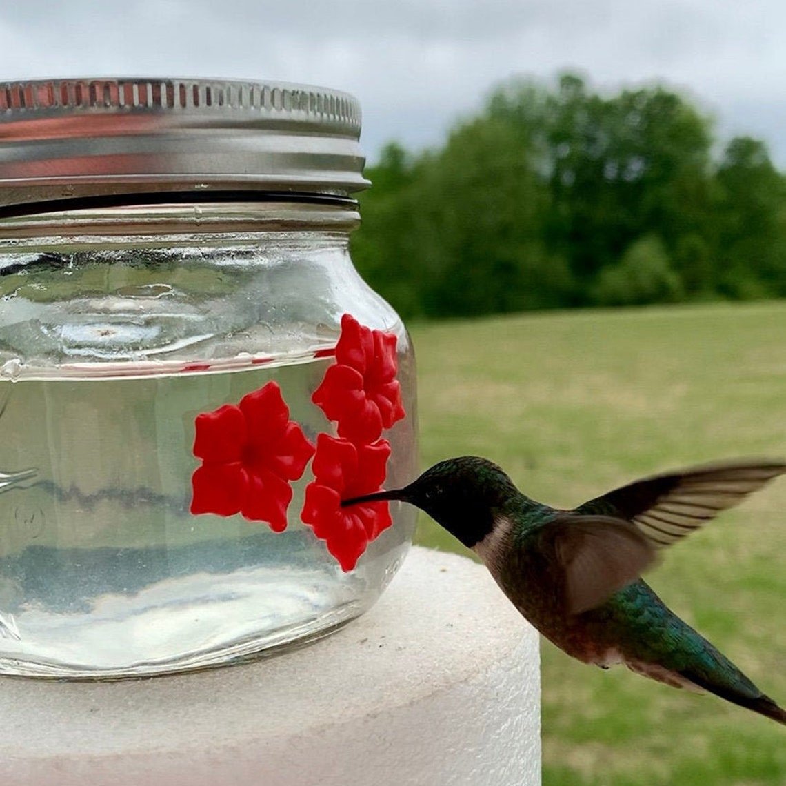 🔥Last Day Promotion - 49% OFF🎁 Beautiful Mason Jar Hummingbird Feeder W/ Three Ports 🔥 BUY 2 GET 1 FREE